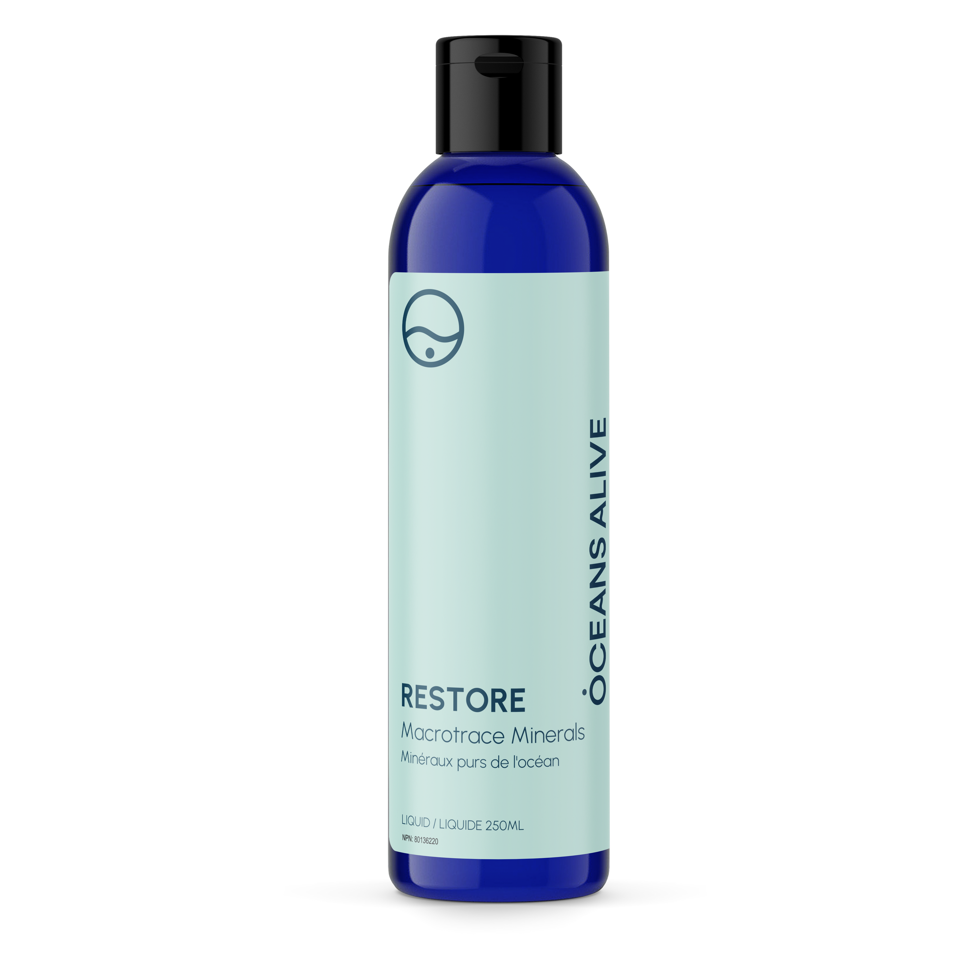 Restore (formerly Trace) ๐จ๐ฆ