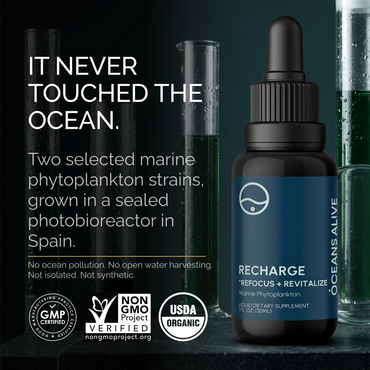Oceans Alive RECHARGE - formerly Raw Phytoplankton 🇨🇦