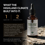 Perfect Immune — Daily Immune Health & Respiratory Support 🇨🇦