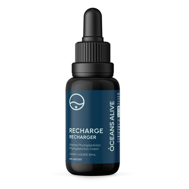 Oceans Alive® Recharge