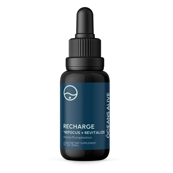 Oceans Alive® RECHARGE - formerly Raw Phytoplankton 🇨🇦