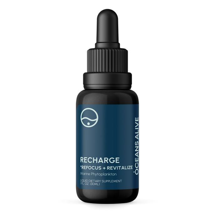 Oceans Alive® RECHARGE - formerly Raw Phytoplankton