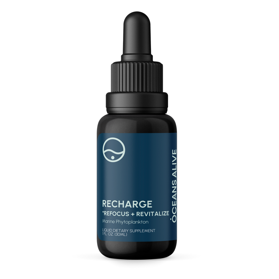 Oceans Alive® RECHARGE - formerly Raw Phytoplankton 🇨🇦