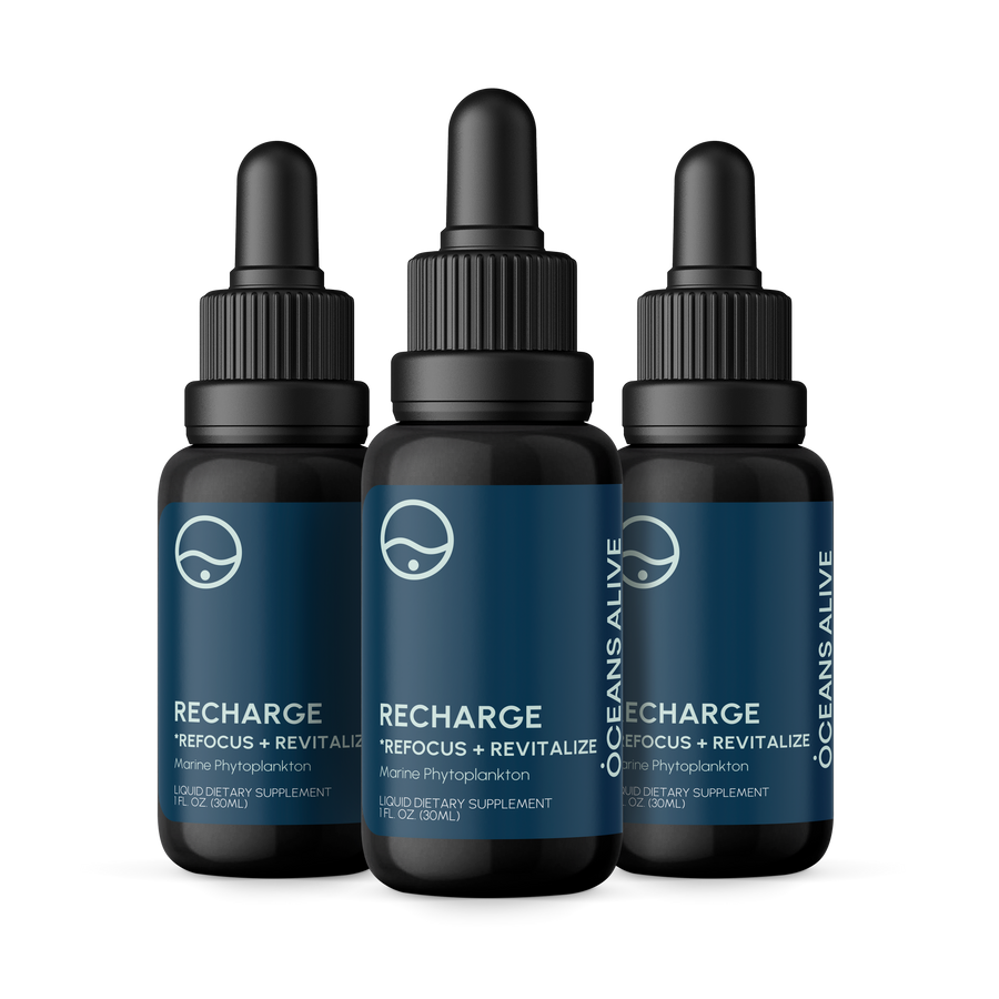 Oceans Alive® RECHARGE - formerly Raw Phytoplankton 🇨🇦