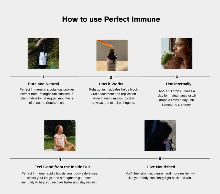 Perfect Immune — Daily Immune Health & Respiratory Support 🇨🇦